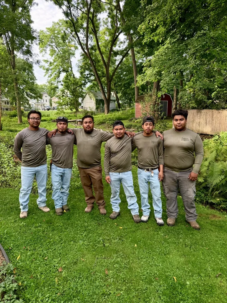 Francisco Landscaping professional team
