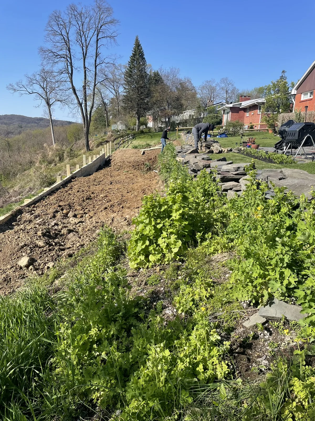 Initial hillside preparation