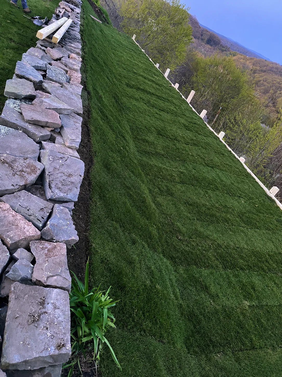 Final hillside landscape finish