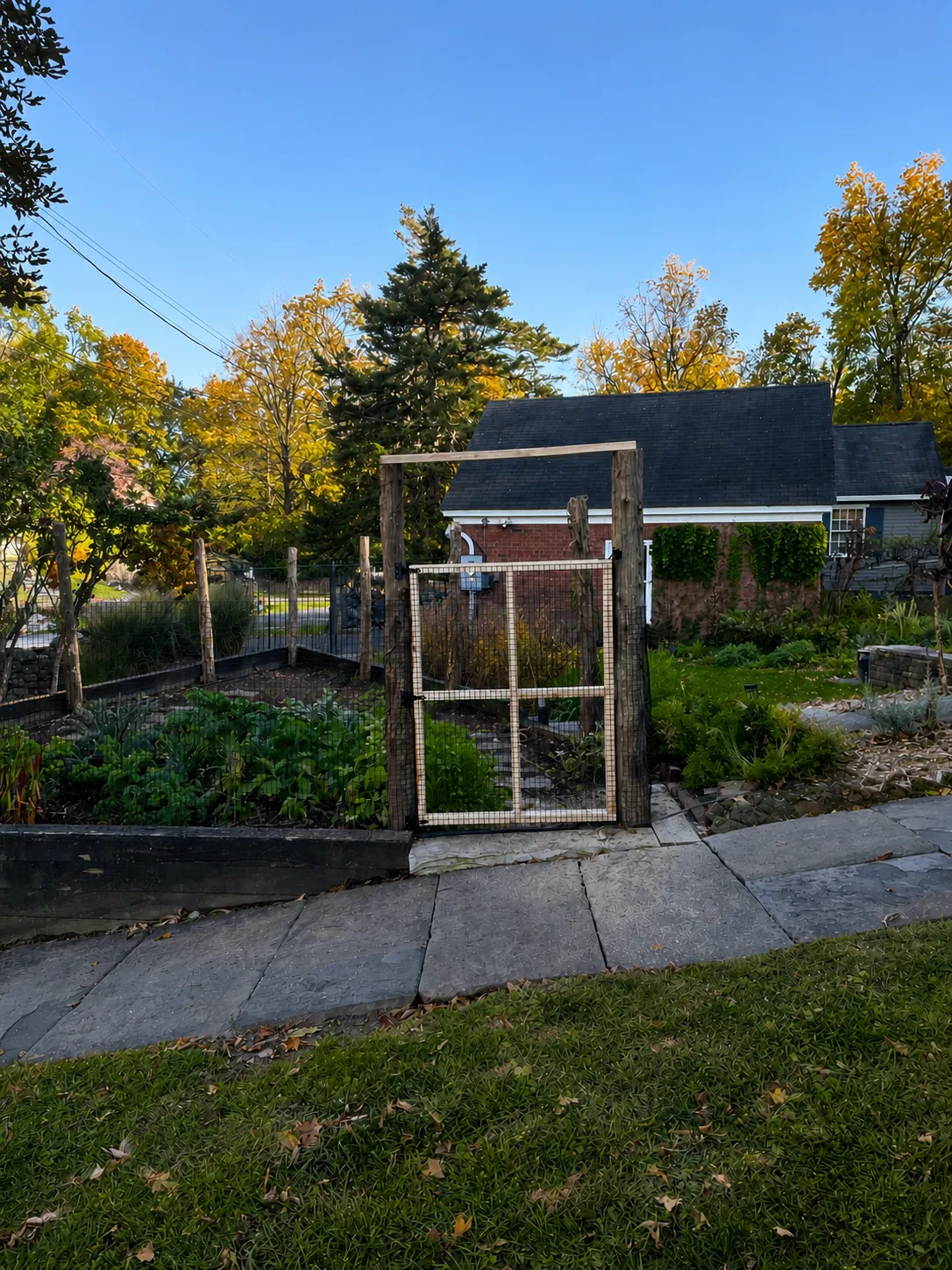Garden enclosure after wire fence and entry gate installation